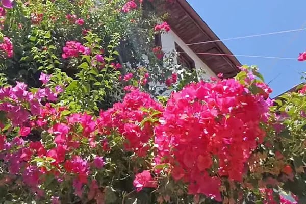 ANTALYA D&amp;D TERRACE - Resim 8