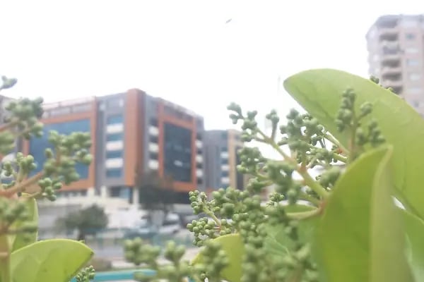 Özel Adana Ortadoğu Hastanesi - Resim 17