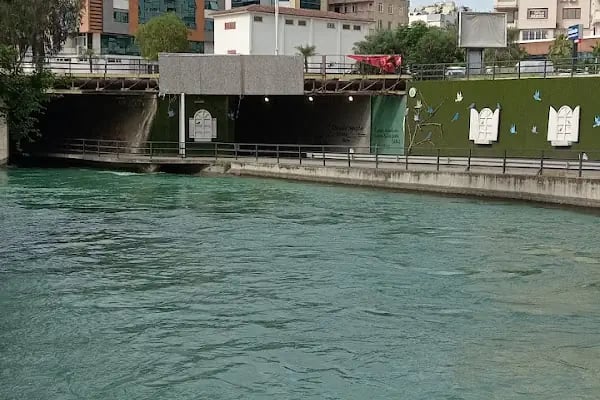 Özel Adana Ortadoğu Hastanesi - Resim 4