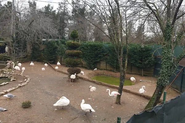 Park of istanbul - Resim 4
