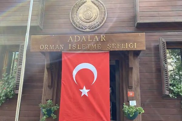 Orman İşletme Şefliği - Resim 3