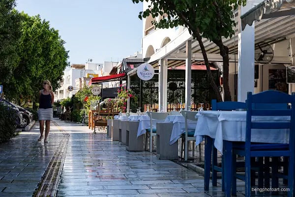 Yelken Balık Bodrum - Resim 7