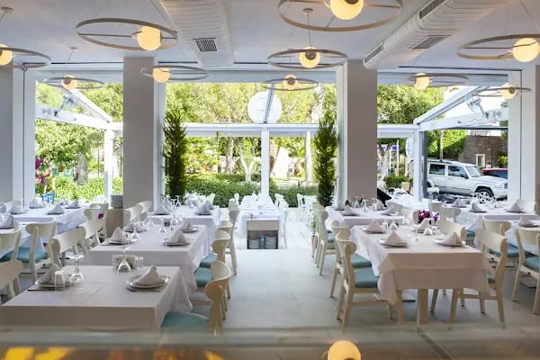 Yelken Balık Bodrum - Resim 2