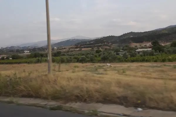 UYAROĞLU ZEYTİN&amp;ZEYTİNYAĞ - Resim 13