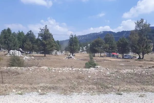 Düğmeli Cafe & Organizasyon - Resim 8