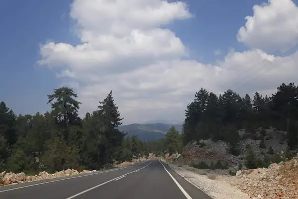 Düğmeli Cafe & Organizasyon - Resim 9