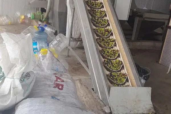 Zeytinyağı fabrikası Anamur - Resim 4