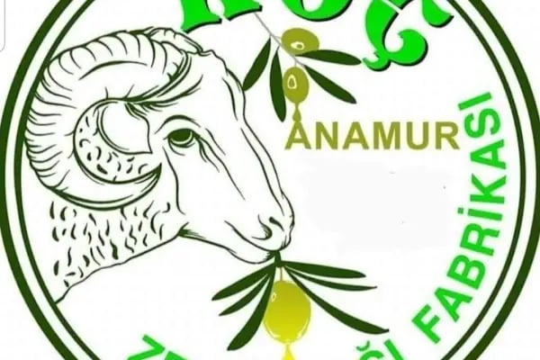 Zeytinyağı fabrikası Anamur - Resim 6