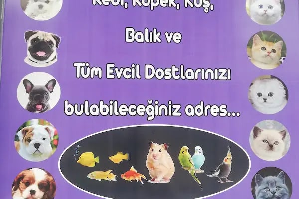 Baran Petshop EVLERE SERVİS - Resim 2
