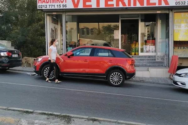 Hadımköy veteriner kliniği - Resim 2
