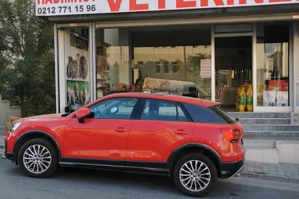 Hadımköy veteriner kliniği - Resim 8