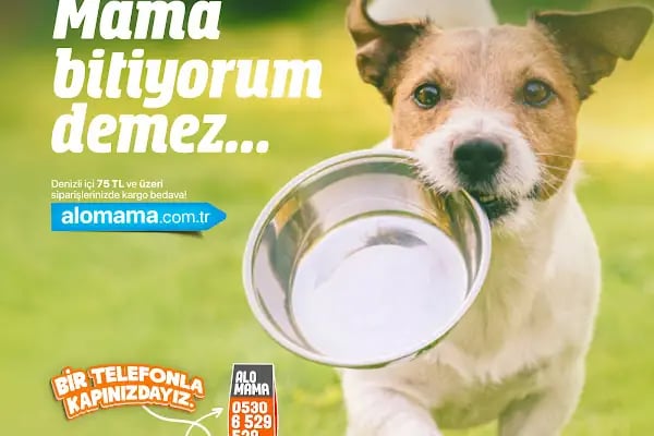 Elit Petshop İstiklal Şubesi - Resim 10