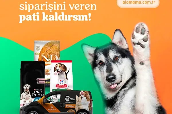 Elit Petshop İstiklal Şubesi - Resim 6
