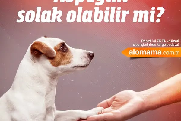 Elit Petshop İstiklal Şubesi - Resim 12