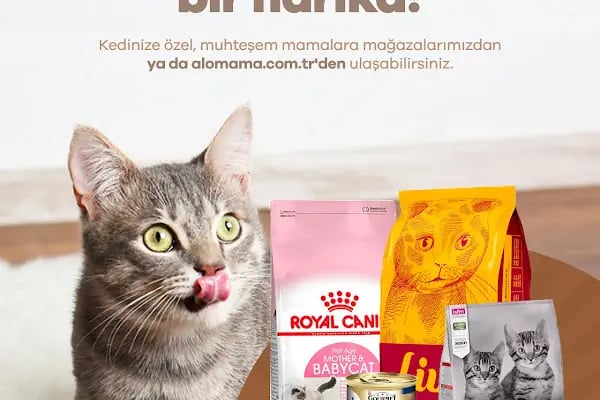 Elit Petshop İstiklal Şubesi - Resim 20