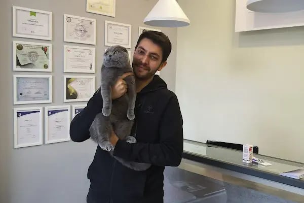 Vet Look Veteriner Kliniği - Resim 4