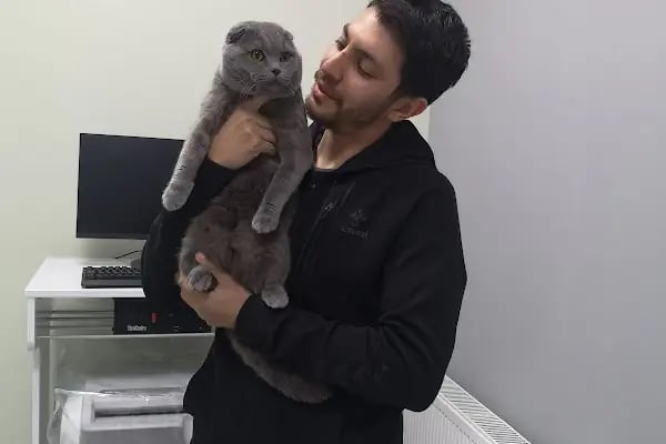 Vet Look Veteriner Kliniği - Resim 8