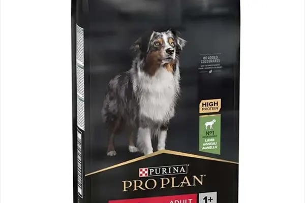 ALİŞ PET MARKET - Resim 5
