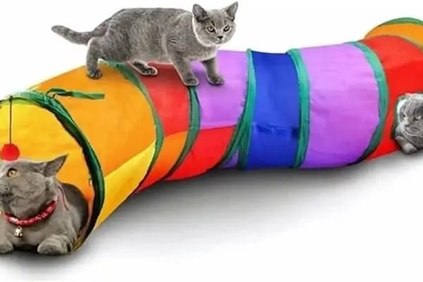 ALİŞ PET MARKET - Resim 14