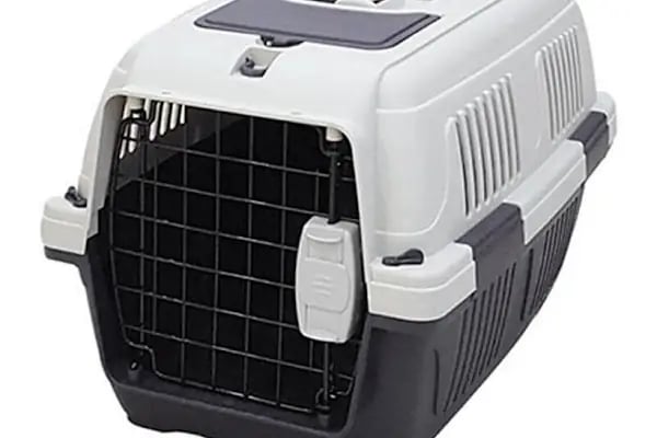 ALİŞ PET MARKET - Resim 11