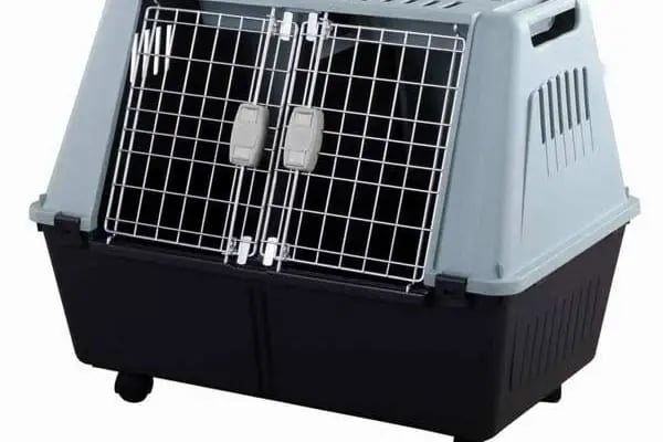 ALİŞ PET MARKET - Resim 17