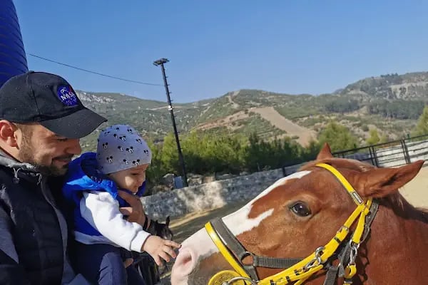 ÇAĞRI BİNİCİLİK VE ATLI SPOR KULÜBÜ - Resim 4