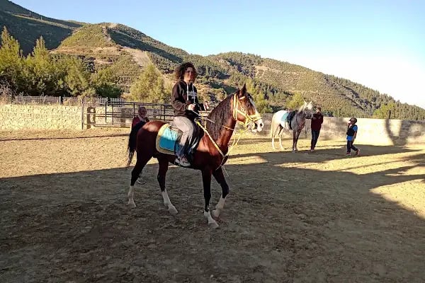 ÇAĞRI BİNİCİLİK VE ATLI SPOR KULÜBÜ - Resim 1