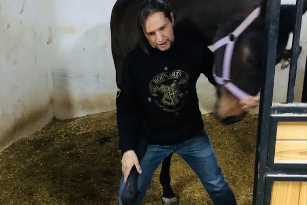 ÇAĞRI BİNİCİLİK VE ATLI SPOR KULÜBÜ - Resim 6