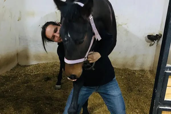 ÇAĞRI BİNİCİLİK VE ATLI SPOR KULÜBÜ - Resim 7