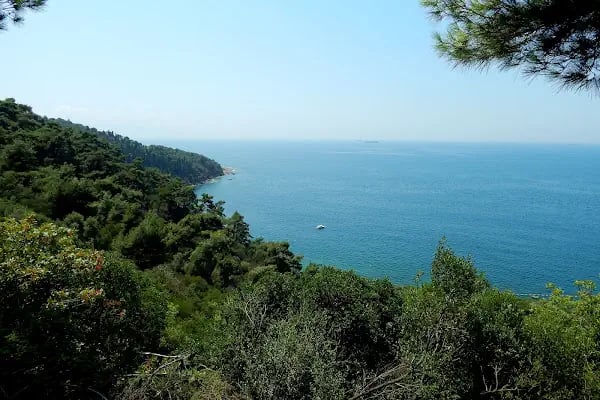Yörükali Garden - Resim 13