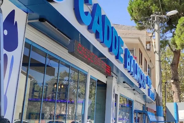 Gürsu cadde balıkçısı - Resim 10