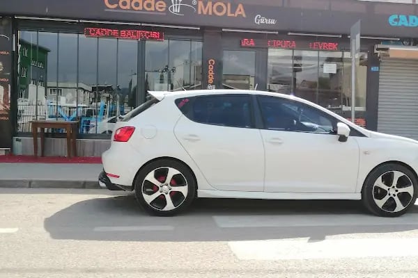 Gürsu cadde balıkçısı - Resim 19