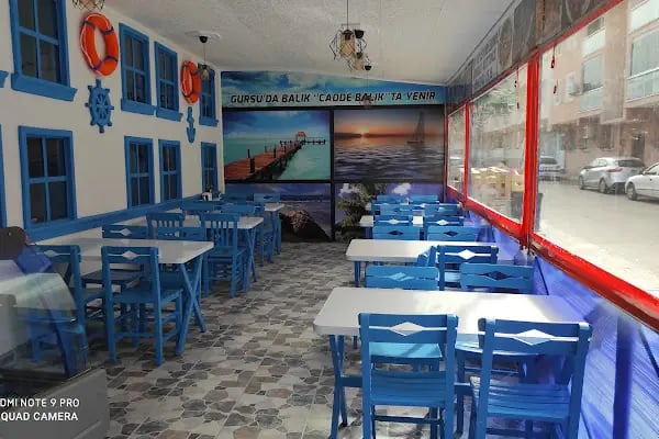 Gürsu cadde balıkçısı - Resim 1