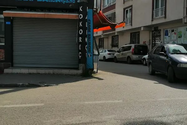 Gürsu cadde balıkçısı - Resim 18