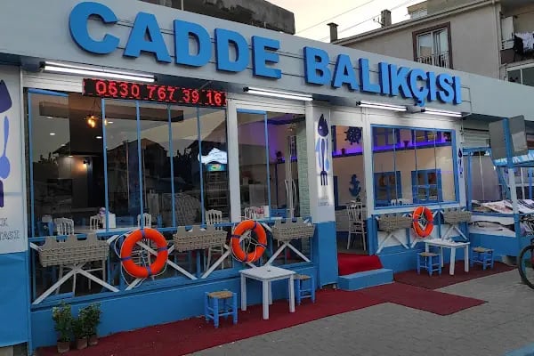 Gürsu cadde balıkçısı - Resim 7