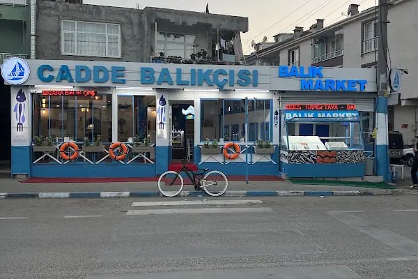 Gürsu cadde balıkçısı - Resim 14