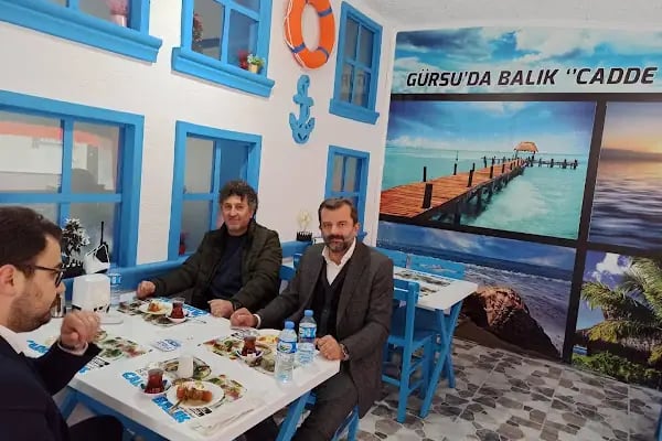 Gürsu cadde balıkçısı - Resim 20