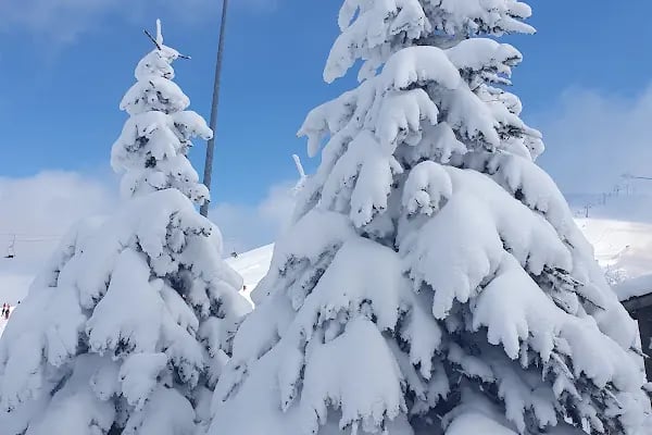 Akdağ Kayak Merkezi - Resim 10