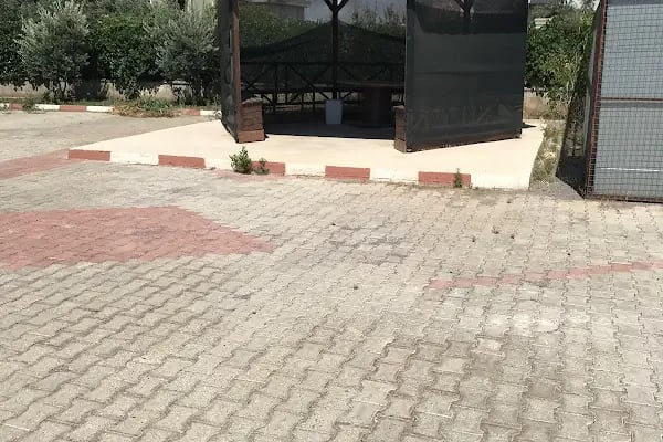 Dilek Recep Özer Ortaokulu - Resim 11