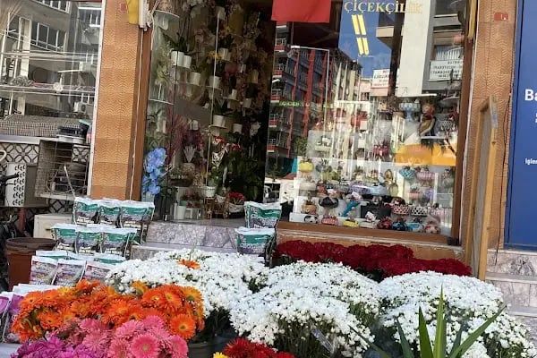 BERGAMA ÇİÇEK DÜNYASI - Resim 1
