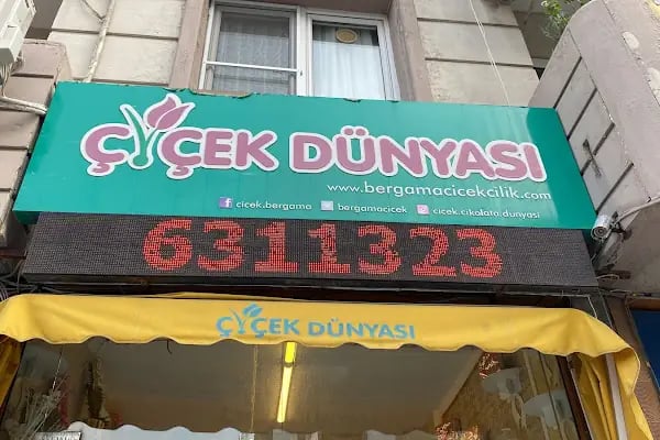 BERGAMA ÇİÇEK DÜNYASI - Resim 2