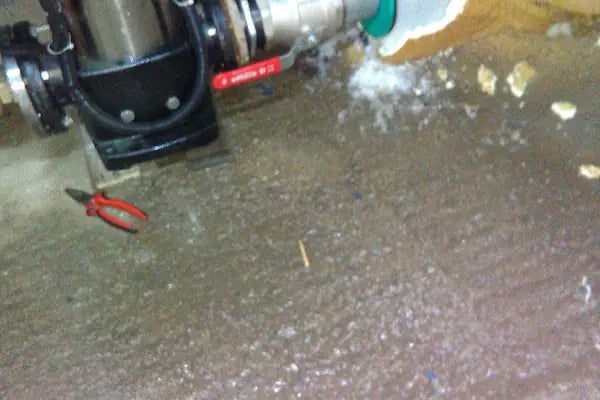 HACIBABA TİCARET SOĞUK HAVA TESİSİ İŞLETMECİLİĞİ - Resim 17
