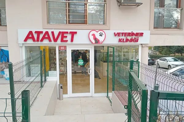 Atavet Veteriner Kliniği - Resim 8