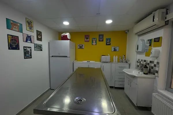 Atavet Veteriner Kliniği - Resim 11