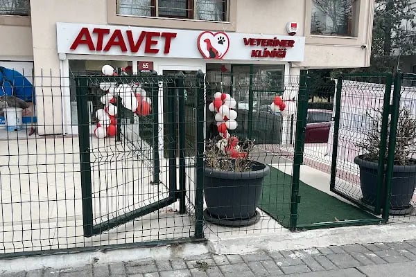 Atavet Veteriner Kliniği - Resim 2