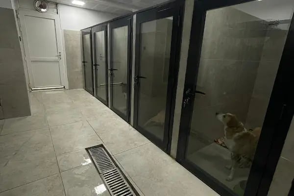 Atavet Veteriner Kliniği - Resim 14