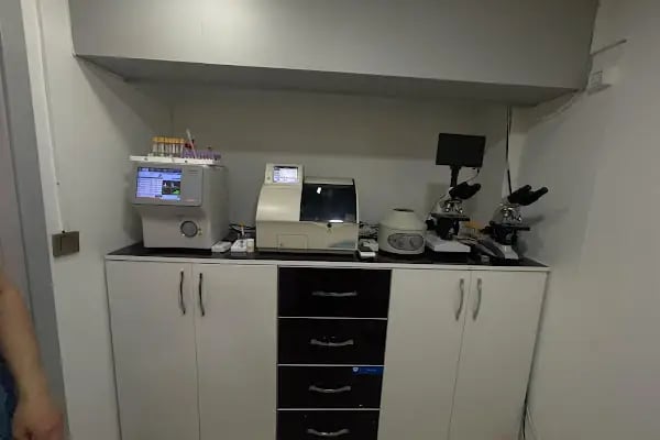 Atavet Veteriner Kliniği - Resim 13