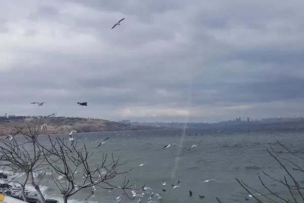 Beach In Kuçukçekmece - Resim 14