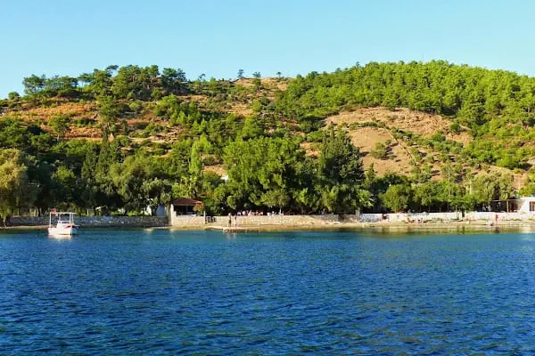 Taş Pansiyon - tasturizm - Resim 3