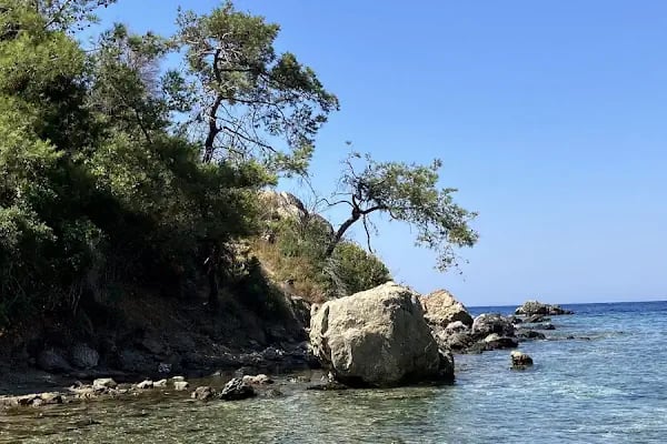 Taş Pansiyon - tasturizm - Resim 17
